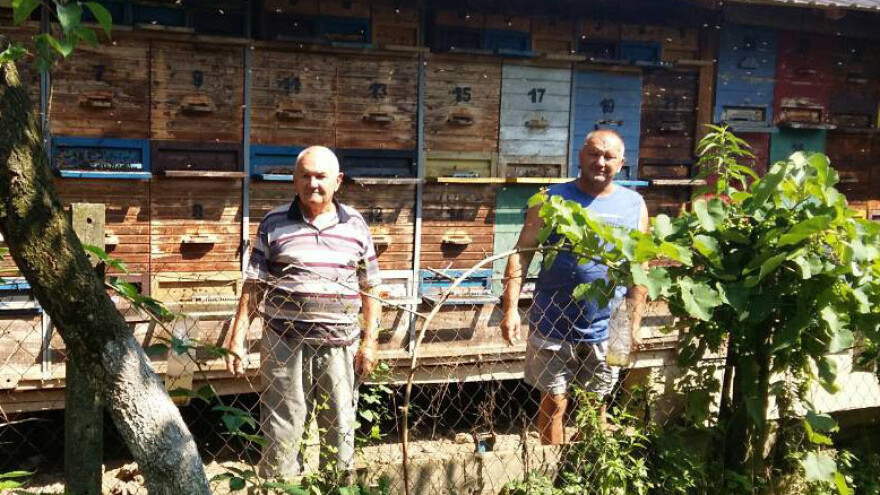 OPG Đurić: Potrošači sve više prepoznaju domaći med i kvalitetu naših sortnih medova