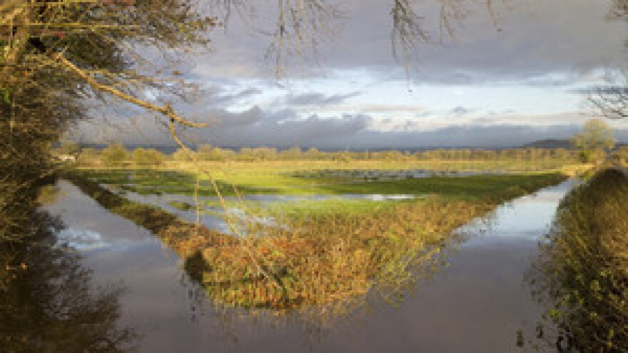 Poplave u Austriji prouzročile štete poljoprivrednim kulturama
