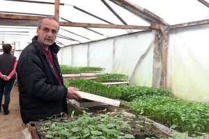 Već deceniju proizvodi rasad: "Ove godine, cijene su više"