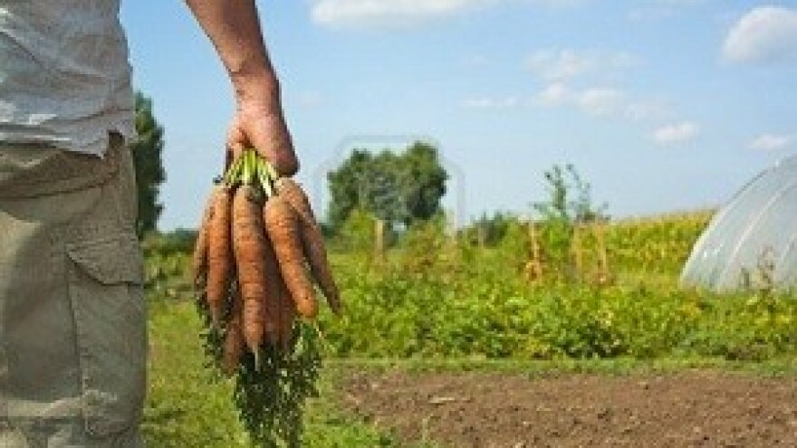 U Srbiji je isplaćeno 90% subvencija