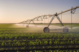 Do 2020. navodnjavanjem će biti pokriveno 13.500 ha zemljišta u Županiji