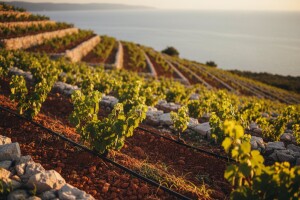 Do suvremene tehnologije kroz ruralne mjere!