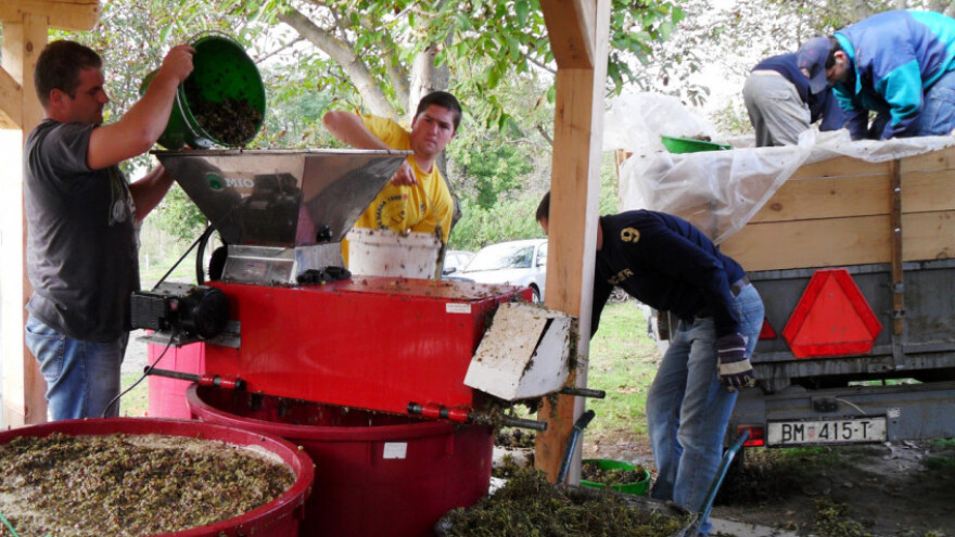 Imate li sreću raditi što volite, rezultati neće izostati