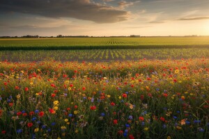 Dodatne potpore za okolišne mjere i do 300 eura!