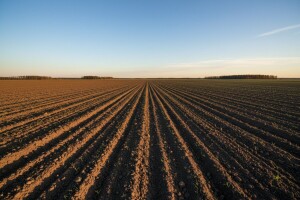 Dodjela zakupa u općini Satnica Đakovačka