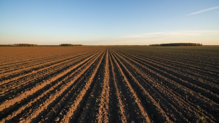 Dodjela zakupa u općini Satnica Đakovačka