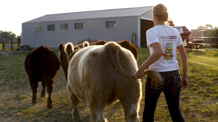 8 subjekata dobilo 41 posto zemljišta!