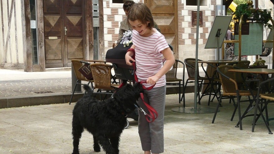 Ovo su idealne rase pasa za početnike