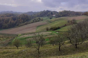 Monitoring 2020.: Što nam donosi sustav za nadzor poljoprivrednih površina?