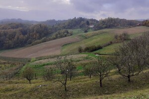 Monitoring 2020.: Što nam donosi sustav za nadzor poljoprivrednih površina?