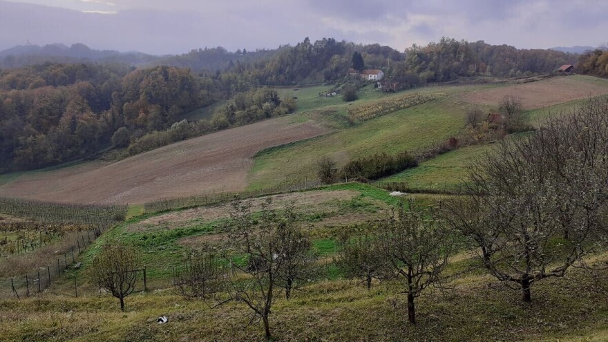 Monitoring 2020.: Što nam donosi sustav za nadzor poljoprivrednih površina?