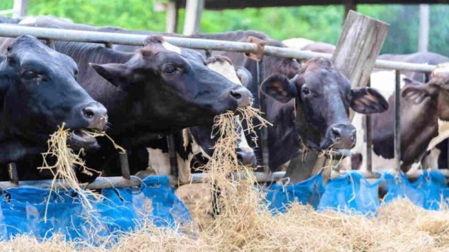 Mirjanić postigao dogovor sa poljoprivrednicima