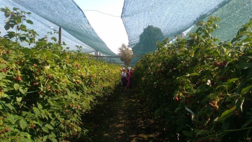 Malinari postigli dogovor o otkupnoj ceni i odustali od štrajka glađu
