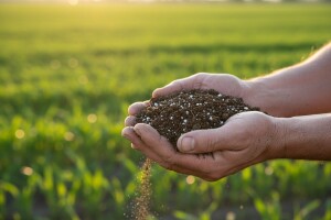 Dokapitalizacija Petrokemije doseći će razinu 450 milijuna kuna