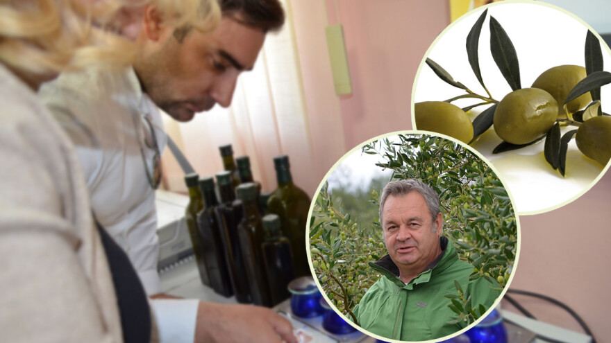 Dr. Vlatković o natjecanjima maslinara: Domaći organizatori natjecanja i paneli su u sukobu interesa!