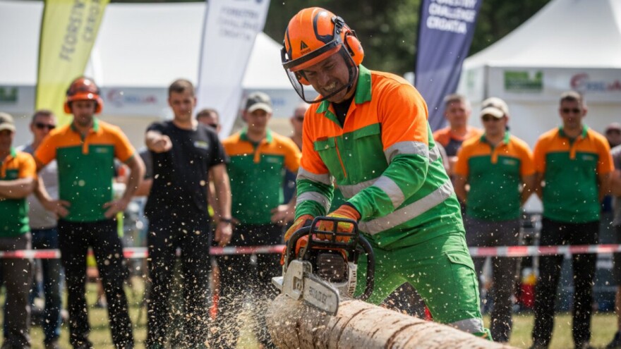 Dolazi 2000 šumara iz svih 16 uprava