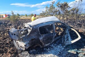 Plamteći automobil izazvao požar i progutao 657 stabala u Dolini maslina