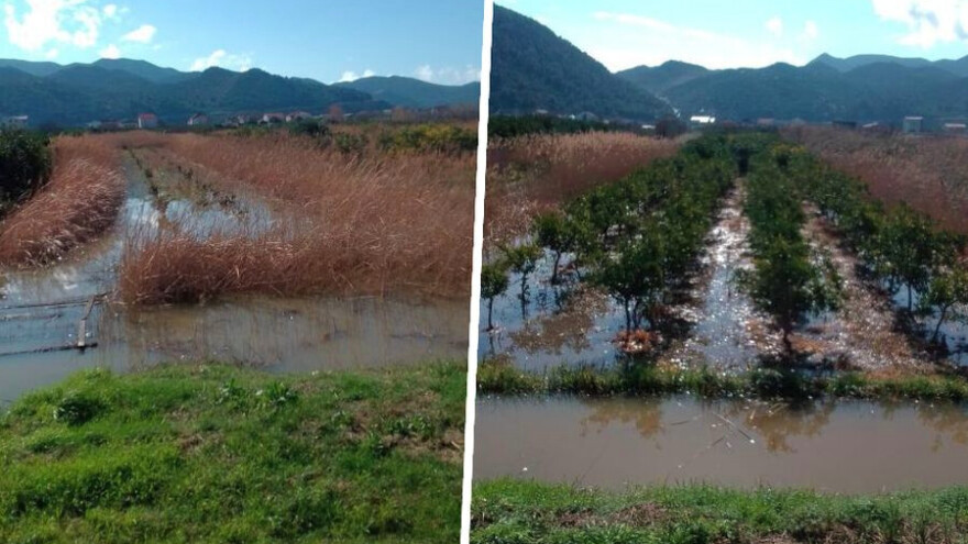 Obilna kiša potopila dolinu Neretve, polja i trajni nasadi pod vodom