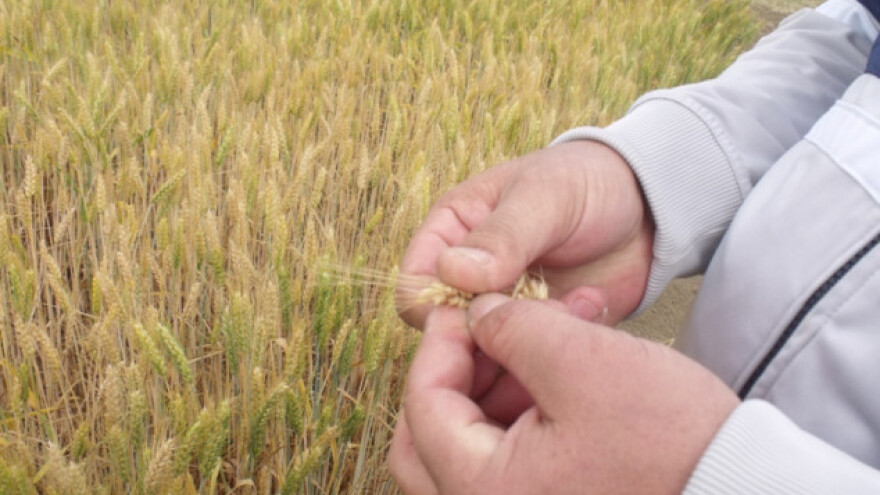 Spriječimo da nam krovovi počnu prokišnjavati