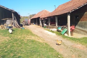 Isplaćeno više od 400 hiljada KM potpora za vođenje gazdinstava