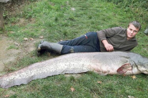 Ulovio soma teškog 91 kg i dugog 220 cm!