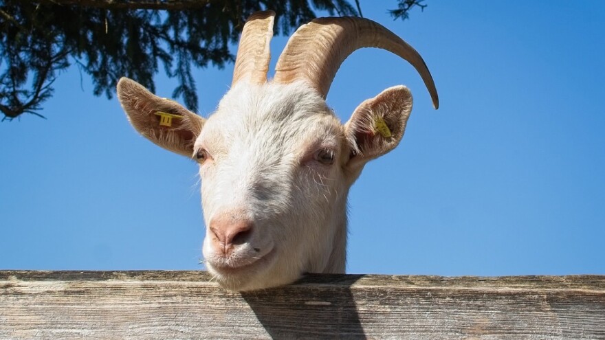 Poljoprivrednici, poslane su vam obavijesti o novostima u provedbi mjere 14!
