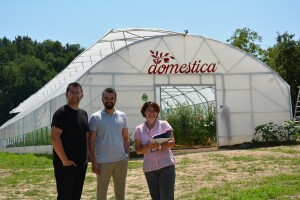 Mladi tim razvio brend Domestica, a realizovali su i besplatnu dostavu organskog povrća