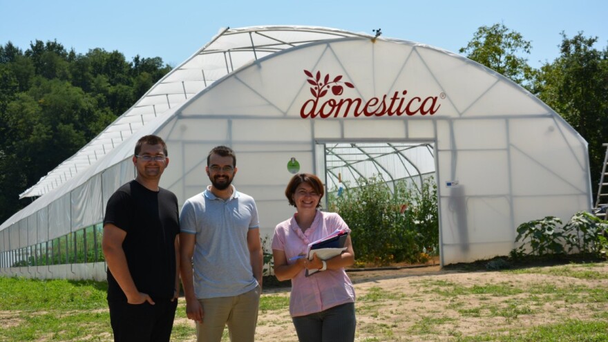Mladi tim razvio brend Domestica, a realizovali su i besplatnu dostavu organskog povrća