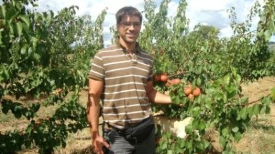 Elementarne nepogode osušile račune voćara