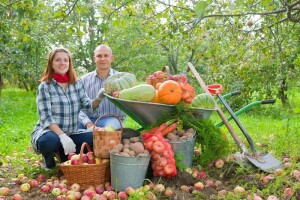 Još dva dana za donaciju jabuka i mandarina