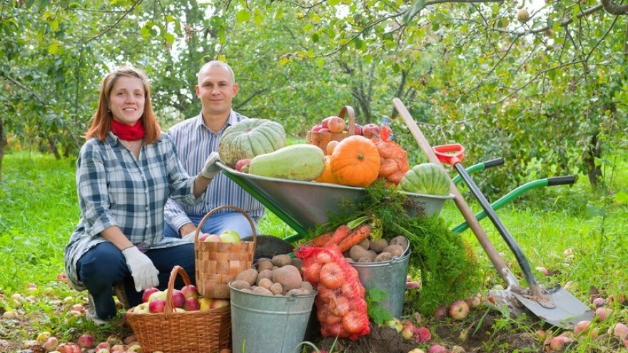 Još dva dana za donaciju jabuka i mandarina