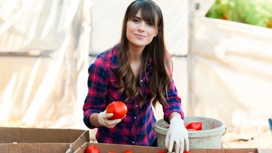 Novi pravilnik o doniranju hrane!