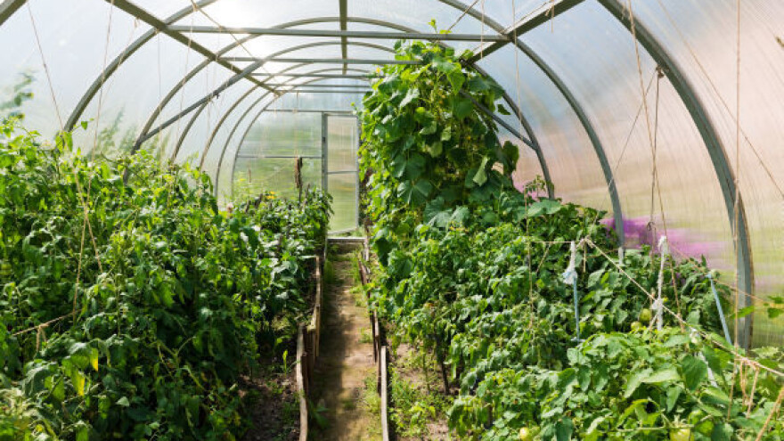 Ćuprijskim poljoprivrednicima donirani plastenici