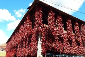Donja Lokošnica: U "carstvu paprika nizača" desetine hiljada venaca