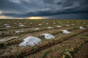 Donji Miholjac pogodila elementarna nepogoda!