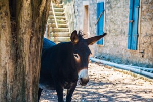HTZ dodjeljuje 8,5 milijuna kuna, najviše projektima na turistički nerazvijenim područjima