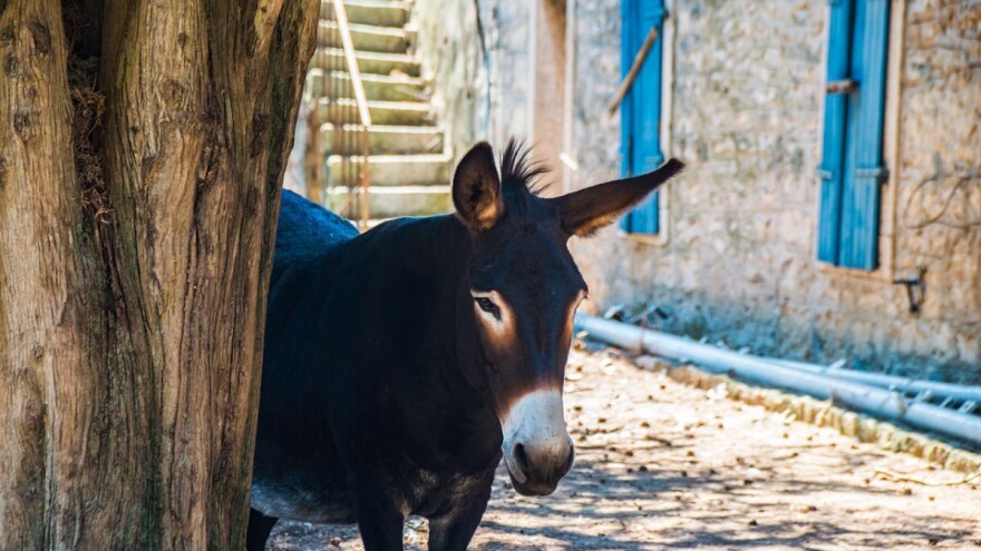 HTZ dodjeljuje 8,5 milijuna kuna, najviše projektima na turistički nerazvijenim područjima