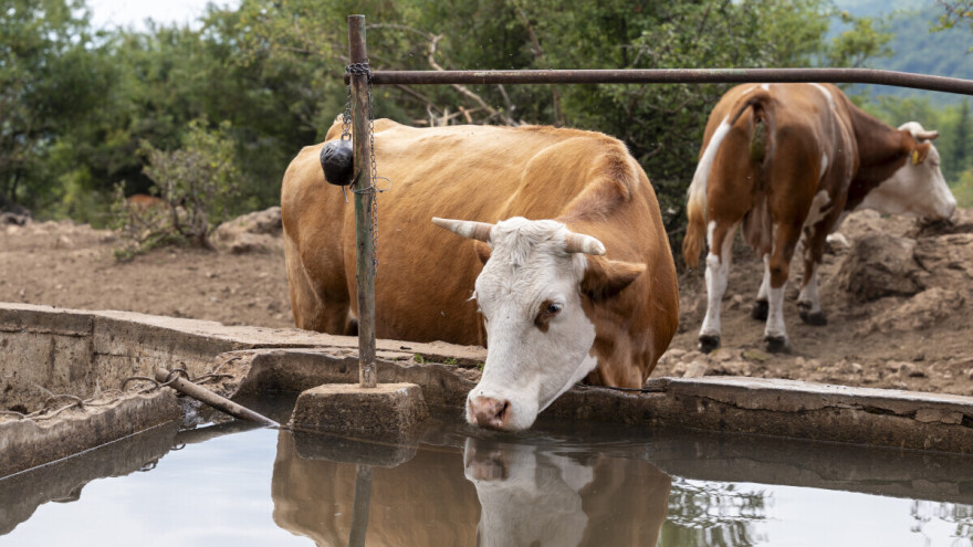 RHMZ izdao hitno upozorenje zbog toplotnog talasa, temperature i do 42 °C