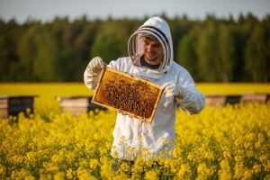 Đorđe Jevtić: Pčelarstvo mladima može donijeti sigurnu dobit