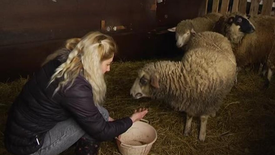 Sa 27 godina sama razvija seoski turizam