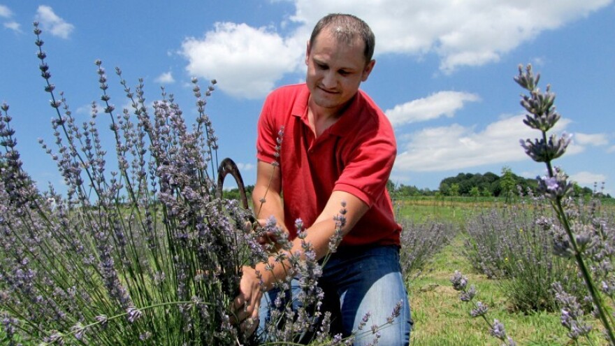 Želio je biti drugačiji i stvarati svojim rukama