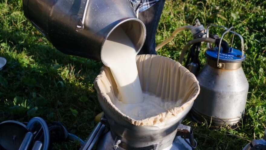 Domaći proizvodi na vašem kućnom pragu