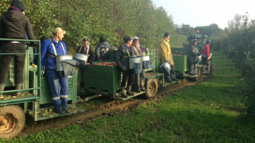 Novosti u mjeri  4: Jednostavnije do potpora!