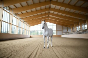 Dovršetak suvremene jahaonice ergele Đakovo