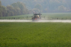 Pallas 75 WG - herbicid koji suzbija najvažnije uskolisne i širokolisne korove u žitaricama