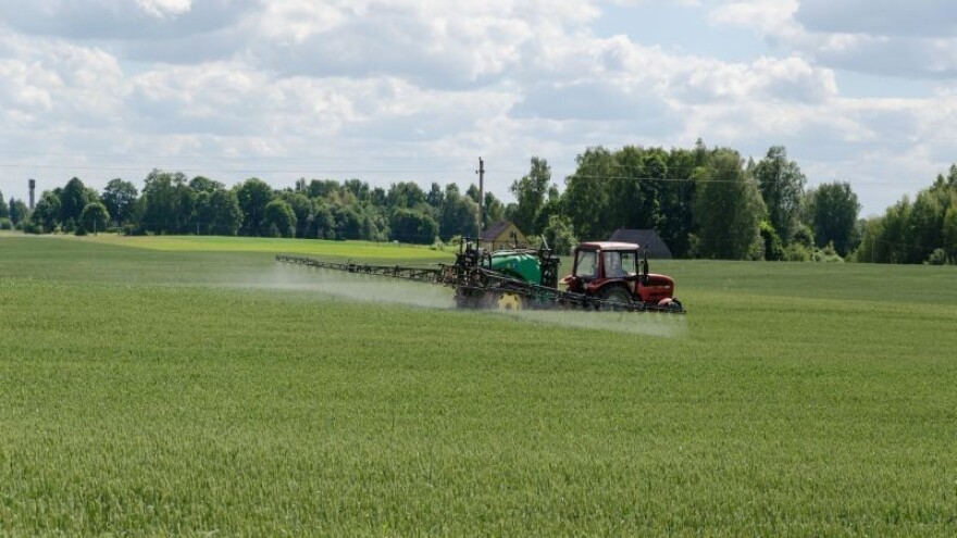 Kako se boriti protiv korova u žitima?