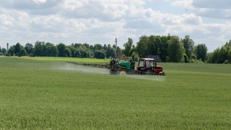 Kako se boriti protiv korova u žitima?