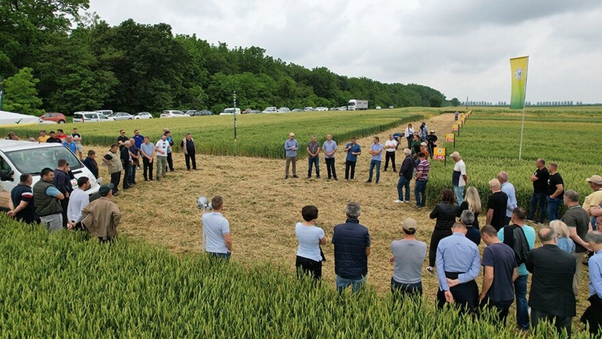 Dan polja Bc Instituta: Žetva će kasniti, ali dobar prinos unatoč teškoj godini neće izostati