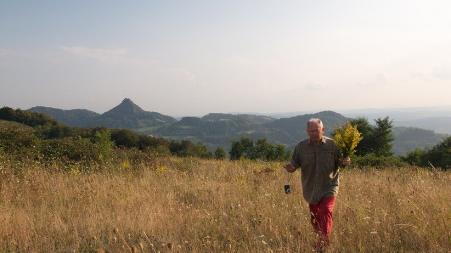 Moj praktični biljarnik - vodič kroz lekovito bilje