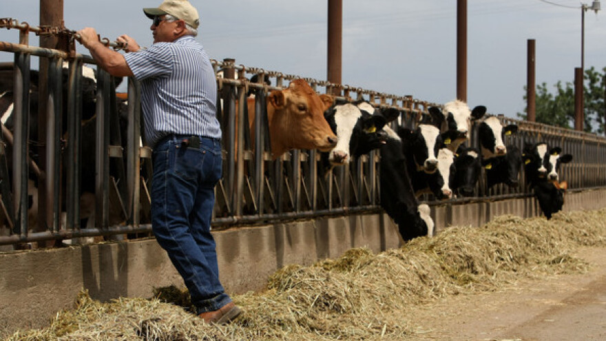 Potpore proizvođačkim organizacijama